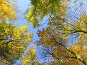 Herbststimmung Naturpark Maas Schwalm Nette